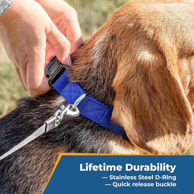 Personalized Dog Collar With Custom Embroidery-Paw Print Pad