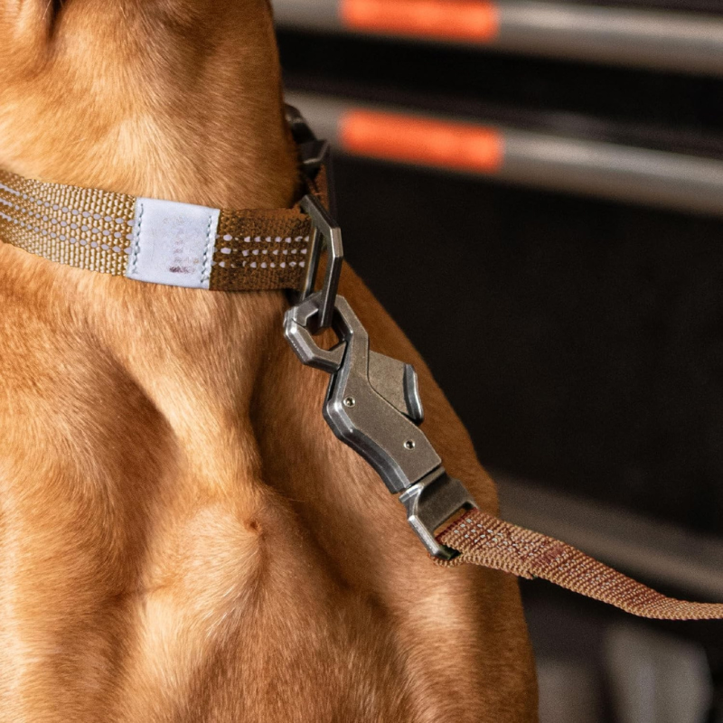 Pet Leash With Heavy Duty Metal Buckle-Paw Print Pad
