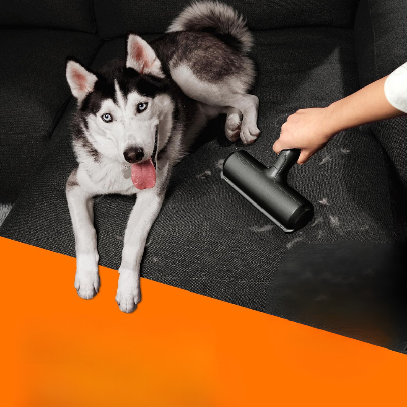 Portable Multi Surface Pet Hair Remover-Paw Print Pad