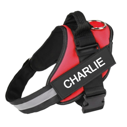 Custom No Pull Dog Harness With Name and Phone Number, Heavy Duty Personalized Pet Vest-Paw Print Pad