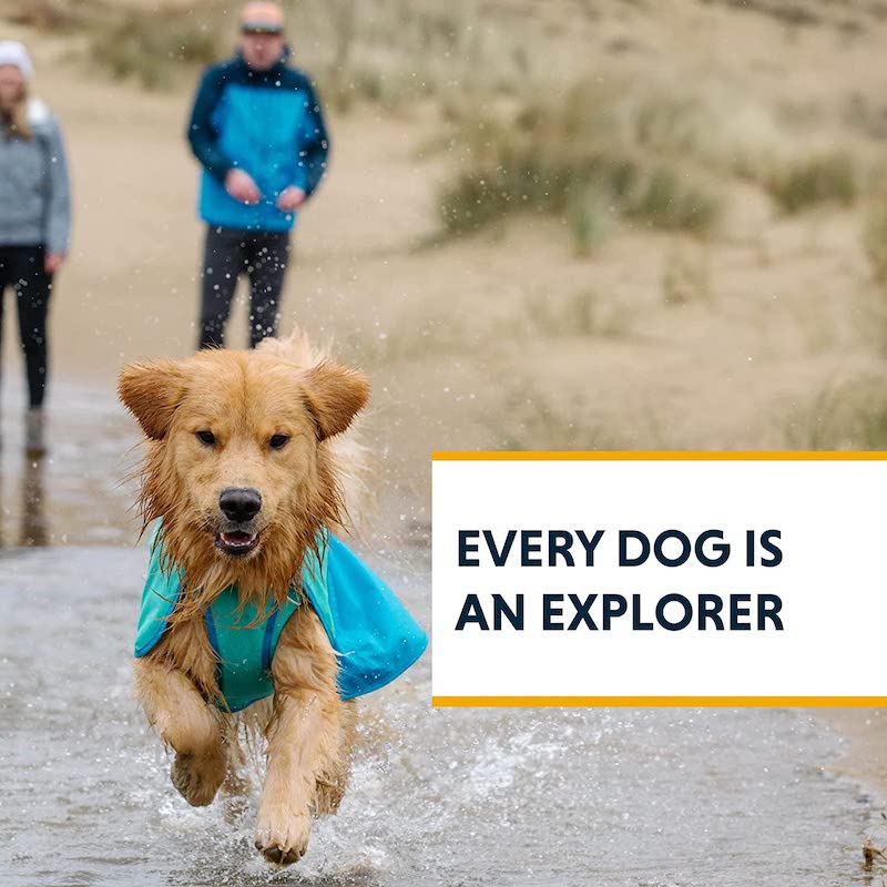 Sun Shower Dog Raincoat, Waterproof & Windproof Jacket For Wet Weather, Large-Paw Print Pad