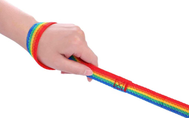 Rainbow Training Leash for Dogs-Paw Print Pad