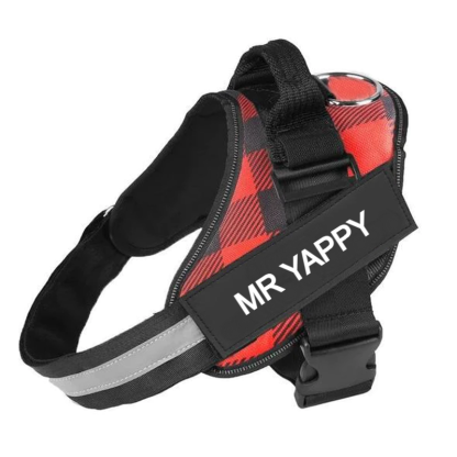 Custom No Pull Dog Harness With Name and Phone Number, Heavy Duty Personalized Pet Vest-Paw Print Pad