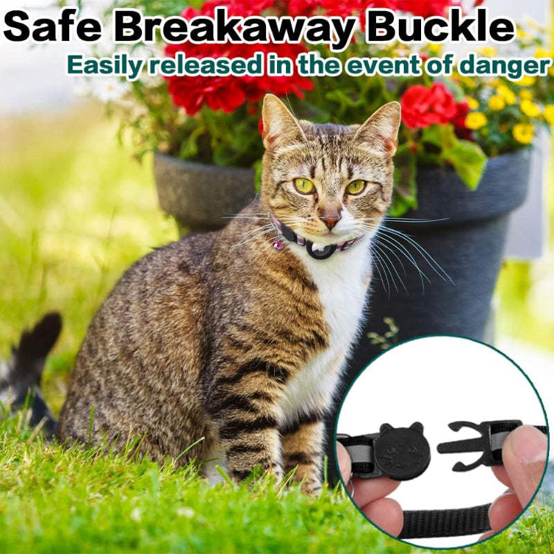 Kitten Collar With Breakaway Buckle And Airtag Holder-Paw Print Pad