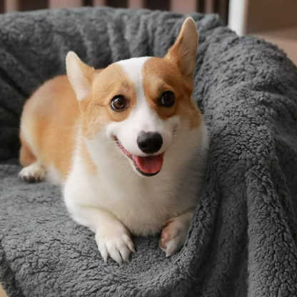 The Waterproof Blanket For Animal-Paw Print Pad