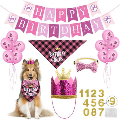 Dog Birthday Party Supplies, Hat Bandana Scarf With Adorable Dog Bow-Paw Print Pad