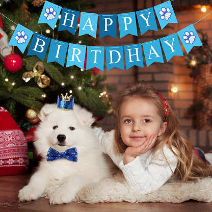 Dog Birthday Party Supplies, Hat Bandana Scarf With Adorable Dog Bow-Paw Print Pad