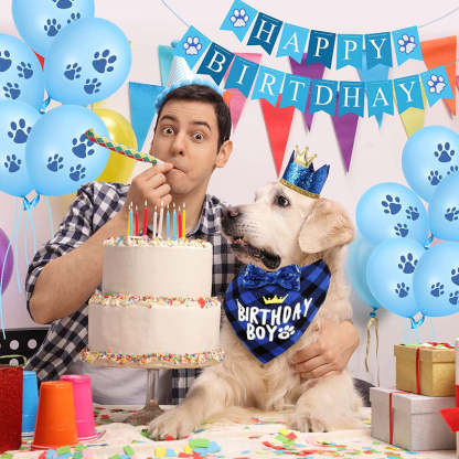 Dog Birthday Party Supplies, Hat Bandana Scarf With Adorable Dog Bow-Paw Print Pad