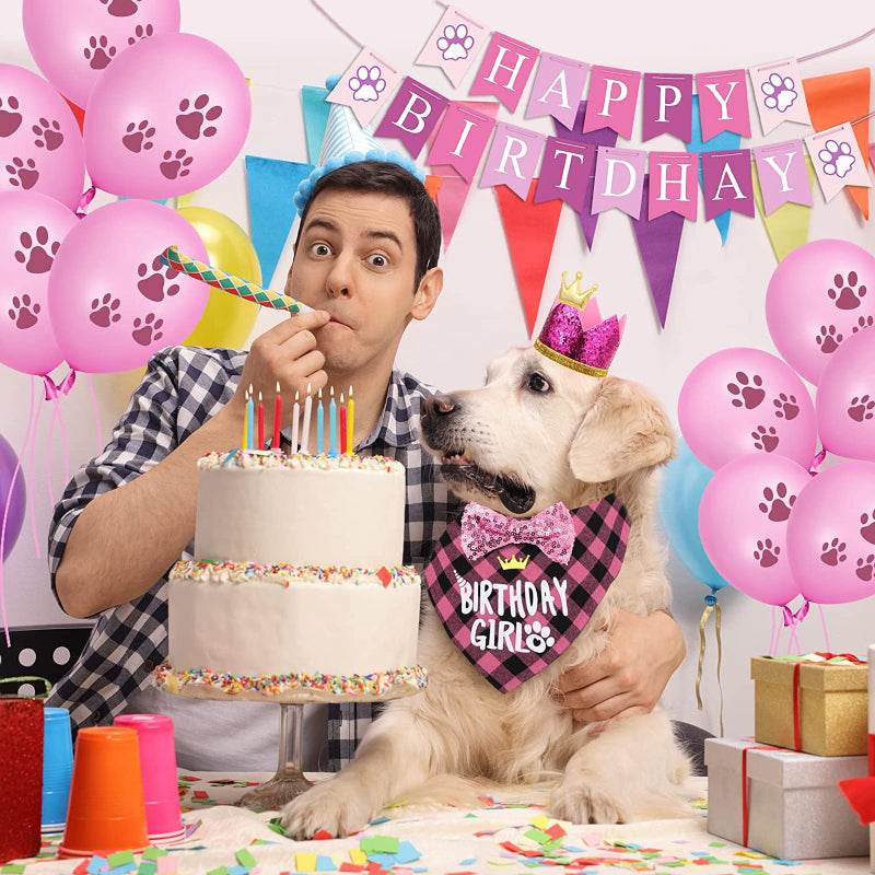 Dog Birthday Party Supplies, Hat Bandana Scarf With Adorable Dog Bow-Paw Print Pad