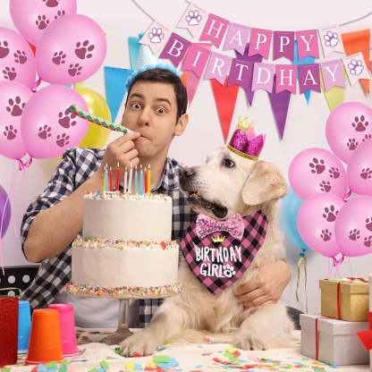 Dog Birthday Party Supplies, Hat Bandana Scarf With Adorable Dog Bow-Paw Print Pad
