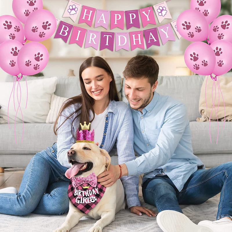 Dog Birthday Party Supplies, Hat Bandana Scarf With Adorable Dog Bow-Paw Print Pad