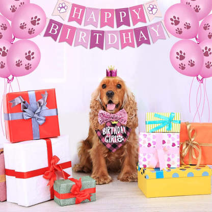 Dog Birthday Party Supplies, Hat Bandana Scarf With Adorable Dog Bow-Paw Print Pad