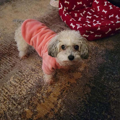 Dog Sweater, Pack Of 1 Or 3, Dog Clothes, Dog Jacket For Small Or Medium Dogs, Ultra Soft And Warm Cat Sweaters-Paw Print Pad