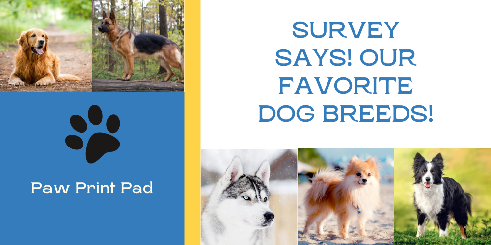 Survey Says! Here Are Our Colleagues Favorite Dog Breeds!-Paw Print Pad