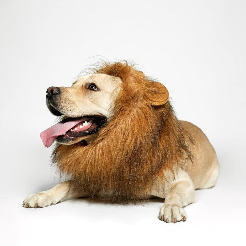 Realistic & Funny Lion Mane For Dogs Stylish Mane Wig-Paw Print Pad