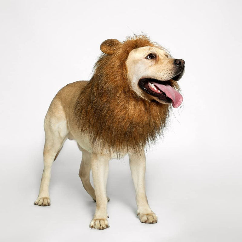Realistic & Funny Lion Mane For Dogs Stylish Mane Wig-Paw Print Pad