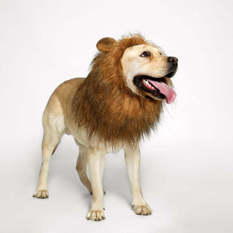 Realistic & Funny Lion Mane For Dogs Stylish Mane Wig-Paw Print Pad