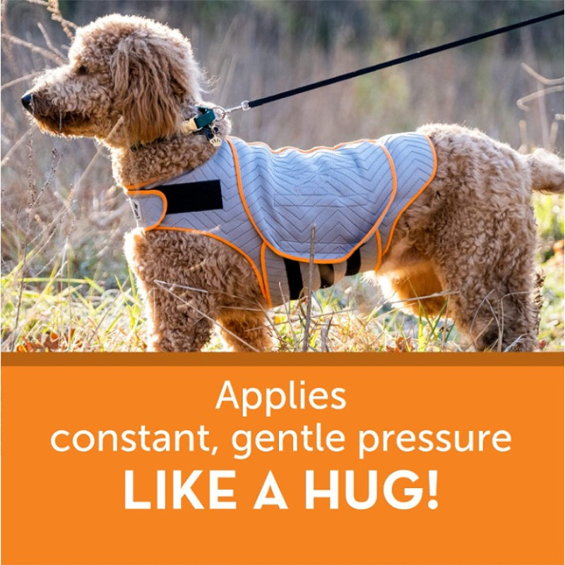 Dog Vest For Travelling-Paw Print Pad