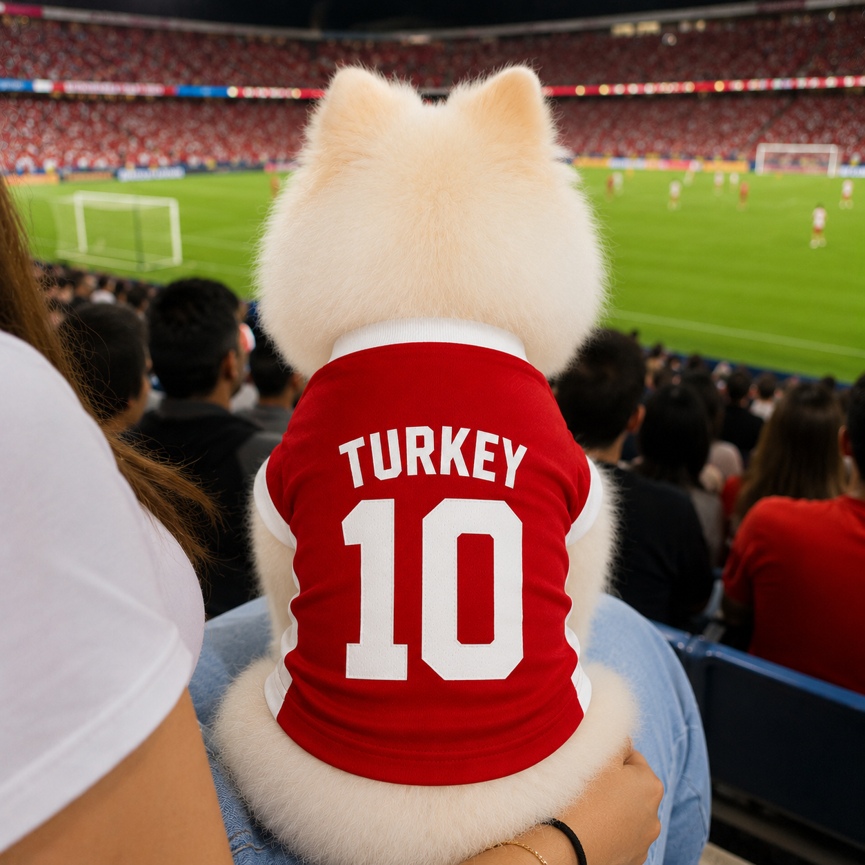 World Cup 2026 Turkey Soccer Pet Jersey