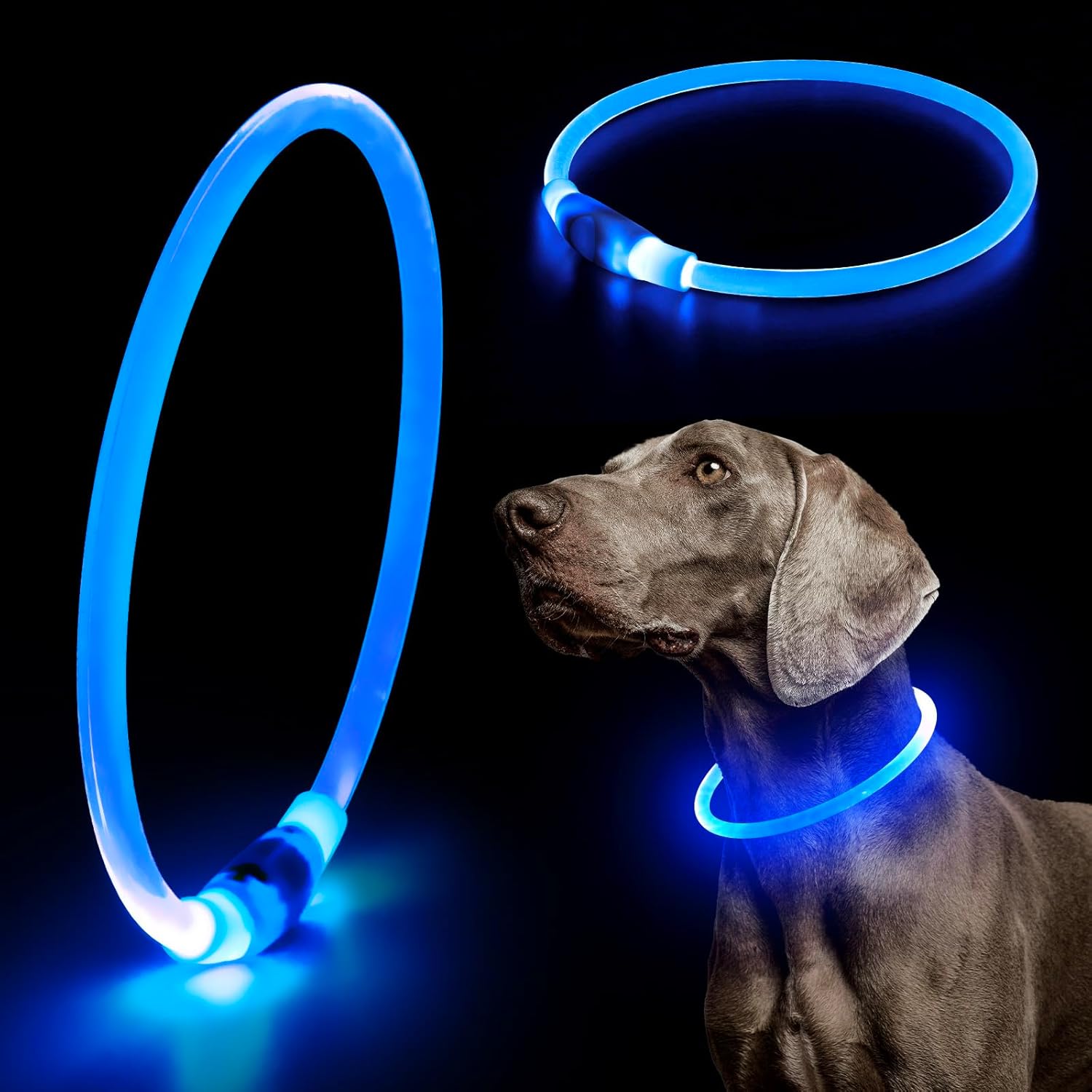 USB Rechargeable LED Safety Collar For Pets-Paw Print Pad
