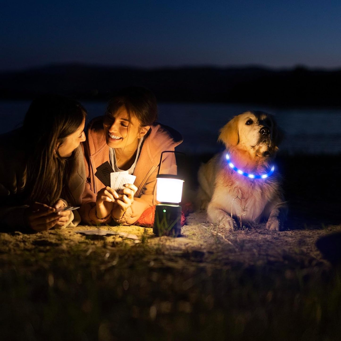 USB Rechargeable LED Safety Collar For Pets-Paw Print Pad