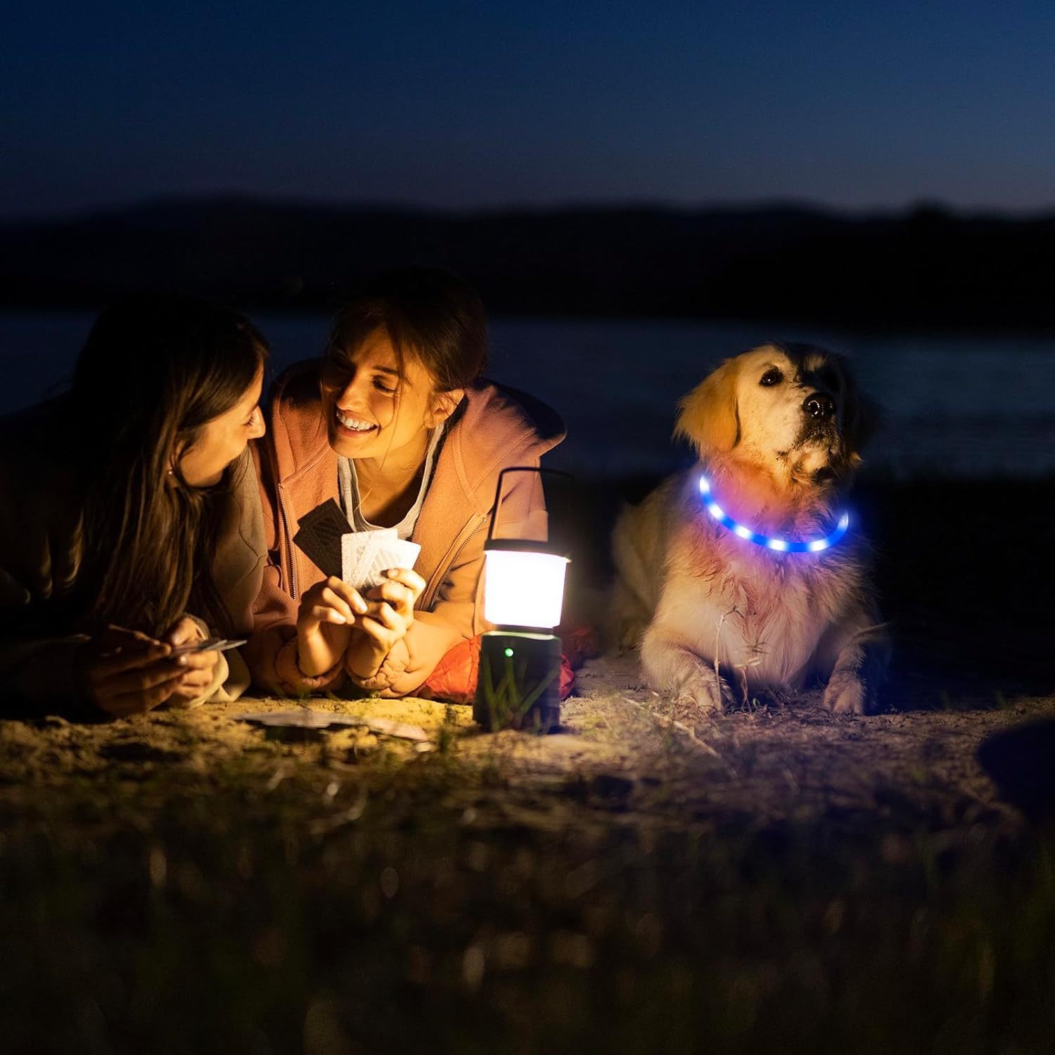 USB Rechargeable LED Safety Collar For Pets-Paw Print Pad
