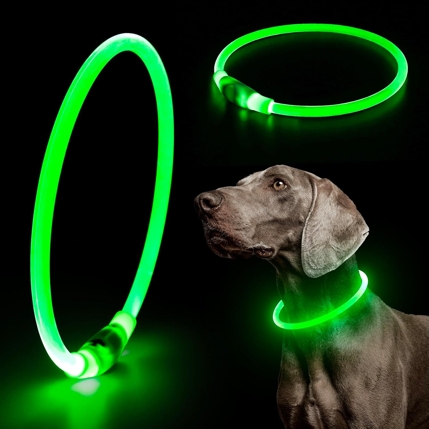 USB Rechargeable LED Safety Collar For Pets-Paw Print Pad