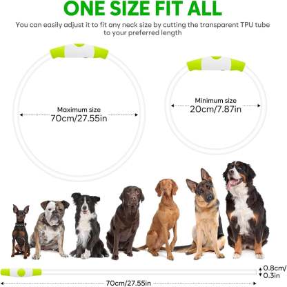 USB Rechargeable LED Safety Collar For Pets-Paw Print Pad