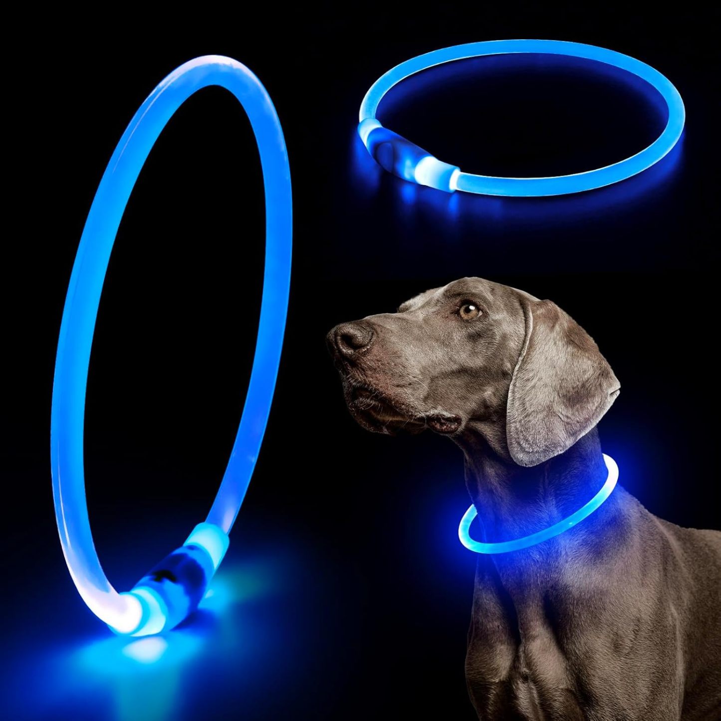 USB Rechargeable LED Safety Collar For Pets-Paw Print Pad