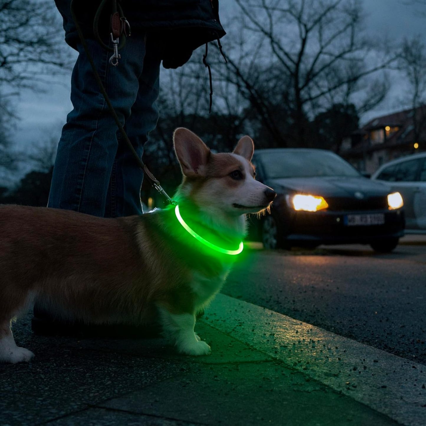 USB Rechargeable LED Safety Collar For Pets-Paw Print Pad