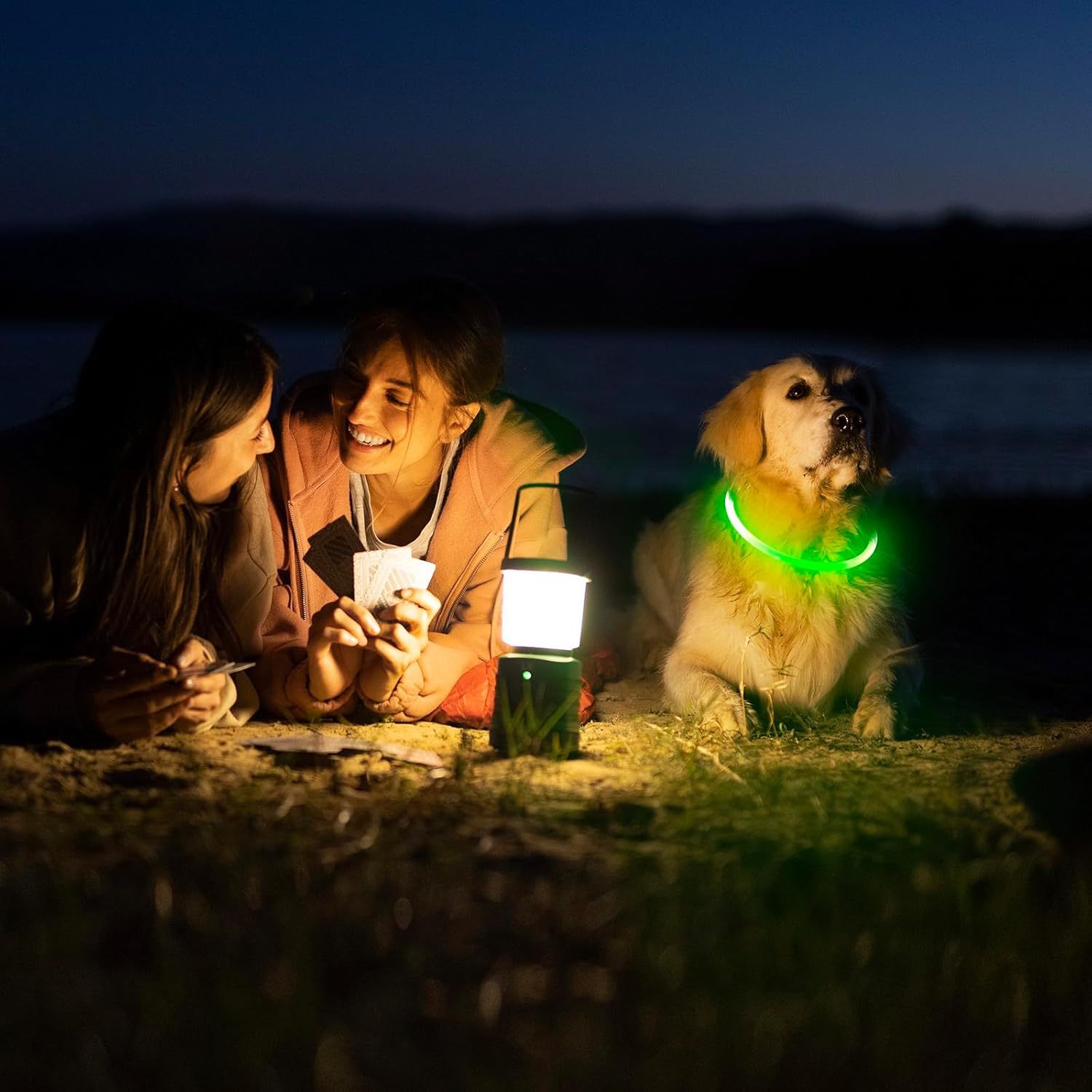 USB Rechargeable LED Safety Collar For Pets-Paw Print Pad