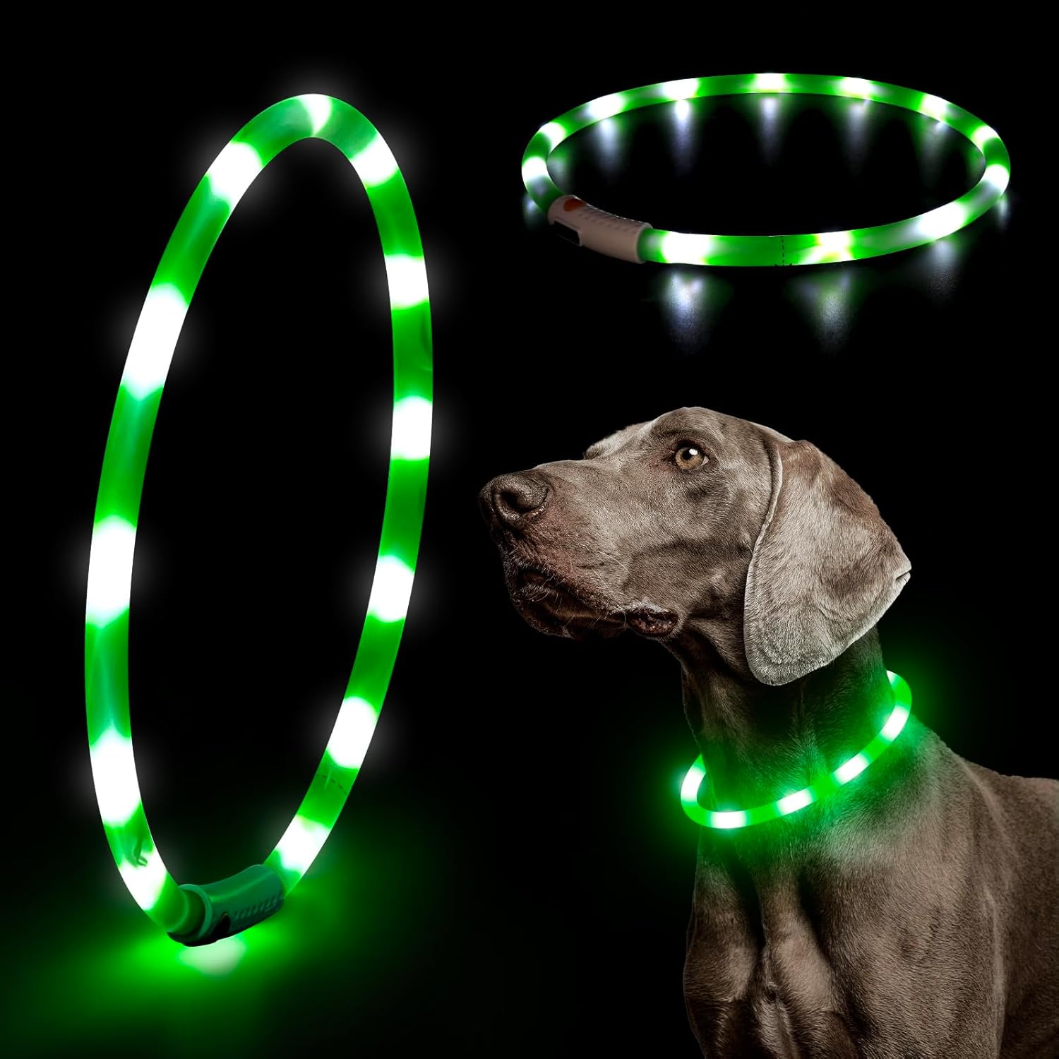 USB Rechargeable LED Safety Collar For Pets-Paw Print Pad