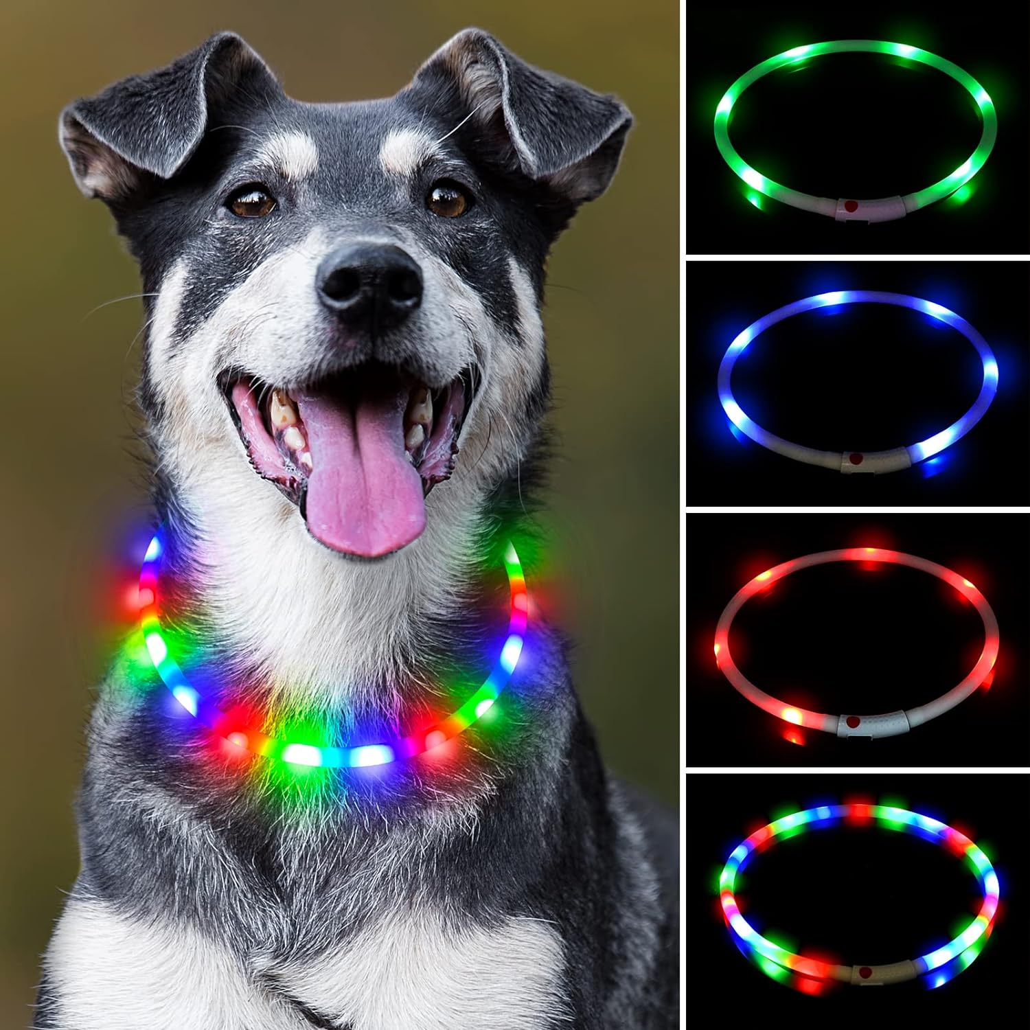 USB Rechargeable LED Safety Collar For Pets-Paw Print Pad