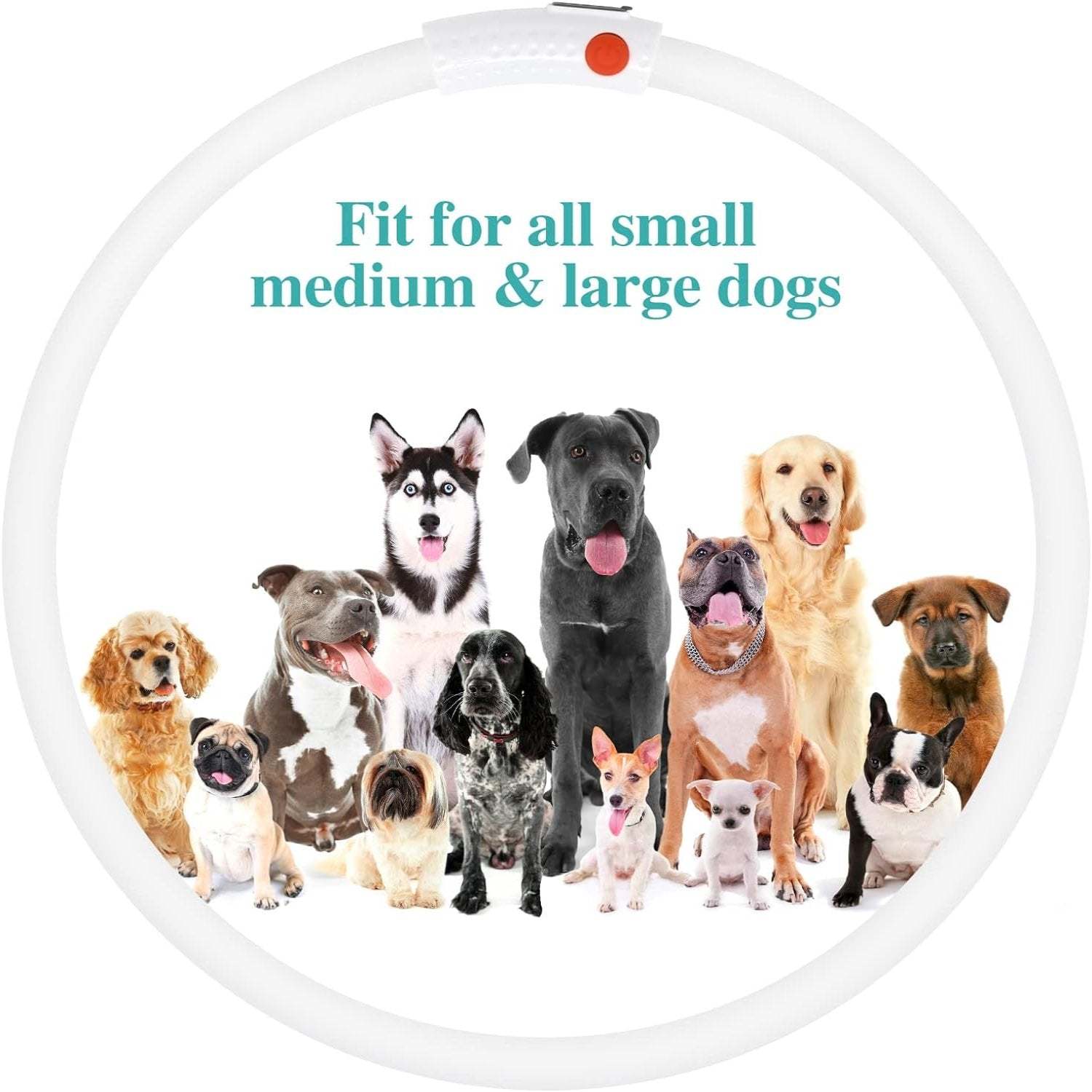 USB Rechargeable LED Safety Collar For Pets-Paw Print Pad