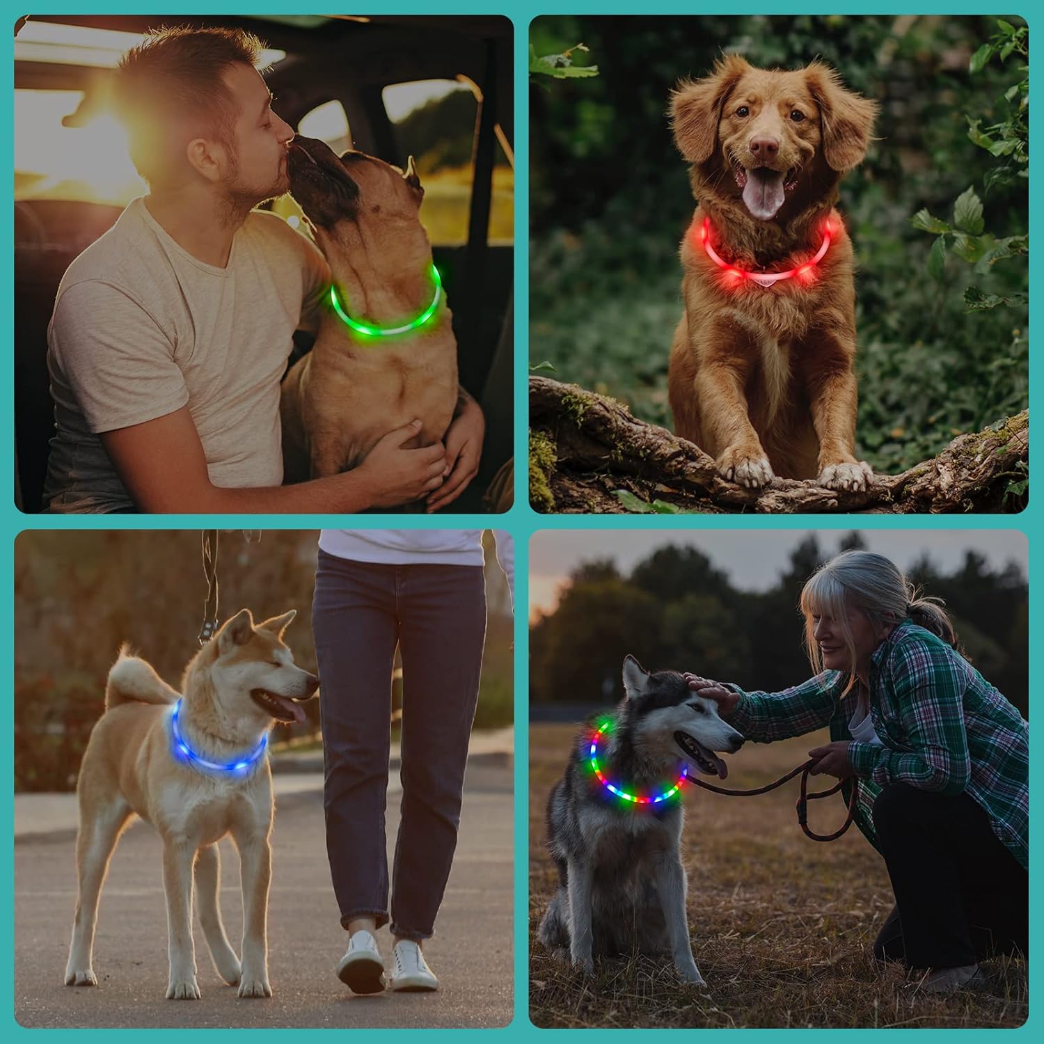 USB Rechargeable LED Safety Collar For Pets-Paw Print Pad