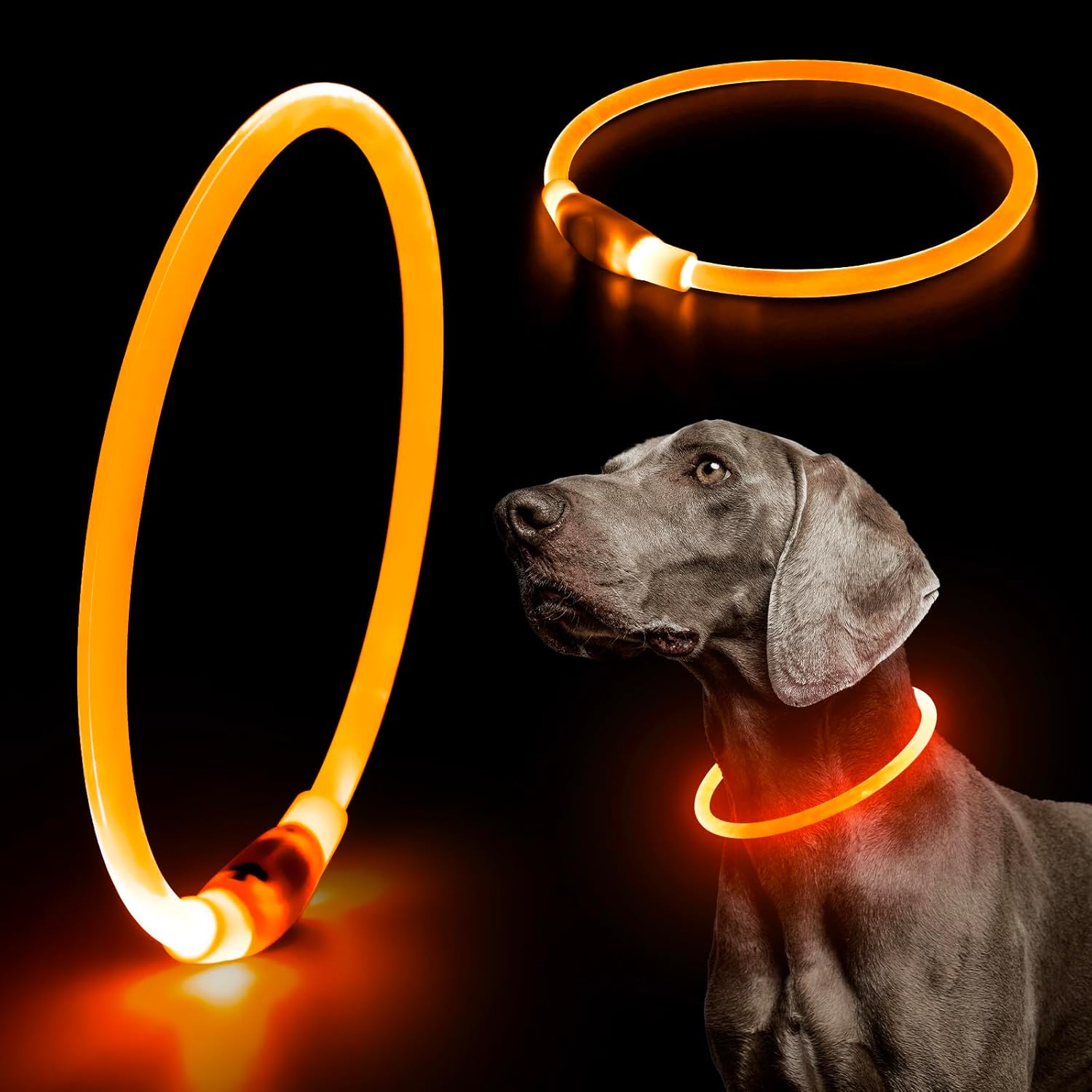 USB Rechargeable LED Safety Collar For Pets-Paw Print Pad