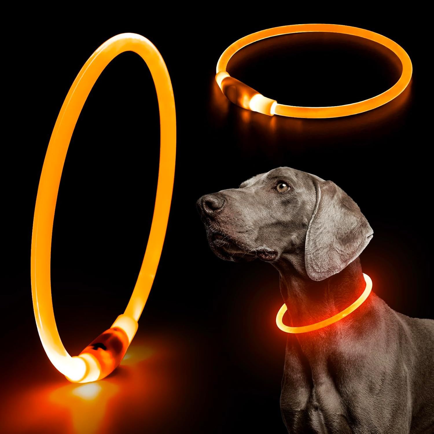 USB Rechargeable LED Safety Collar For Pets-Paw Print Pad