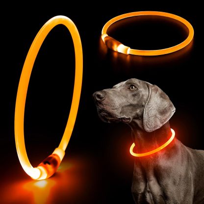 USB Rechargeable LED Safety Collar For Pets-Paw Print Pad
