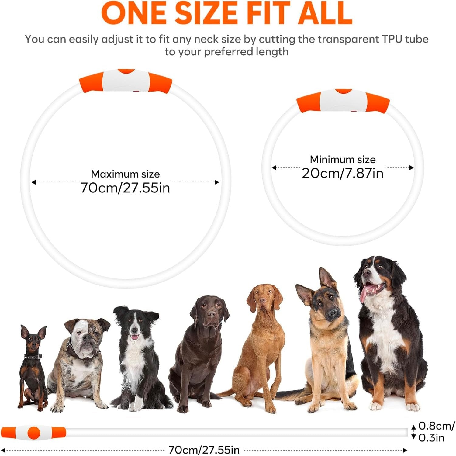 USB Rechargeable LED Safety Collar For Pets-Paw Print Pad