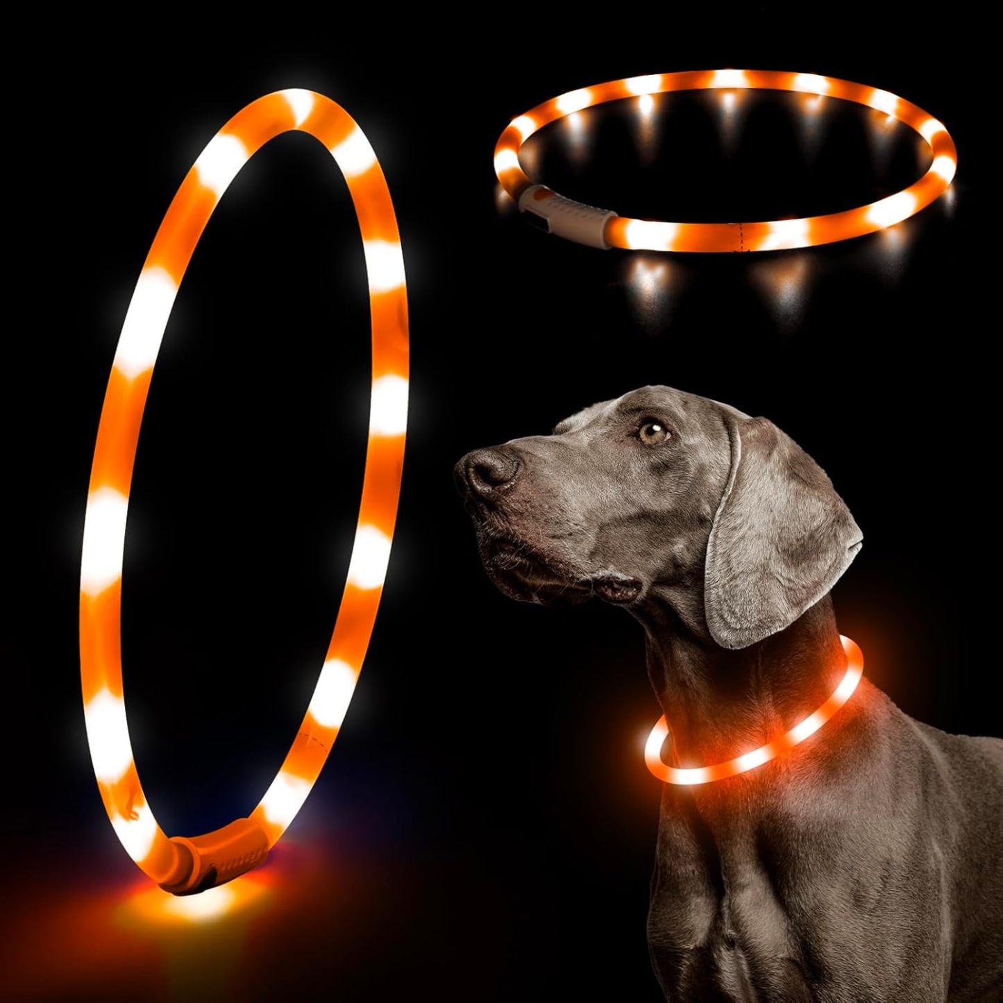 USB Rechargeable LED Safety Collar For Pets-Paw Print Pad