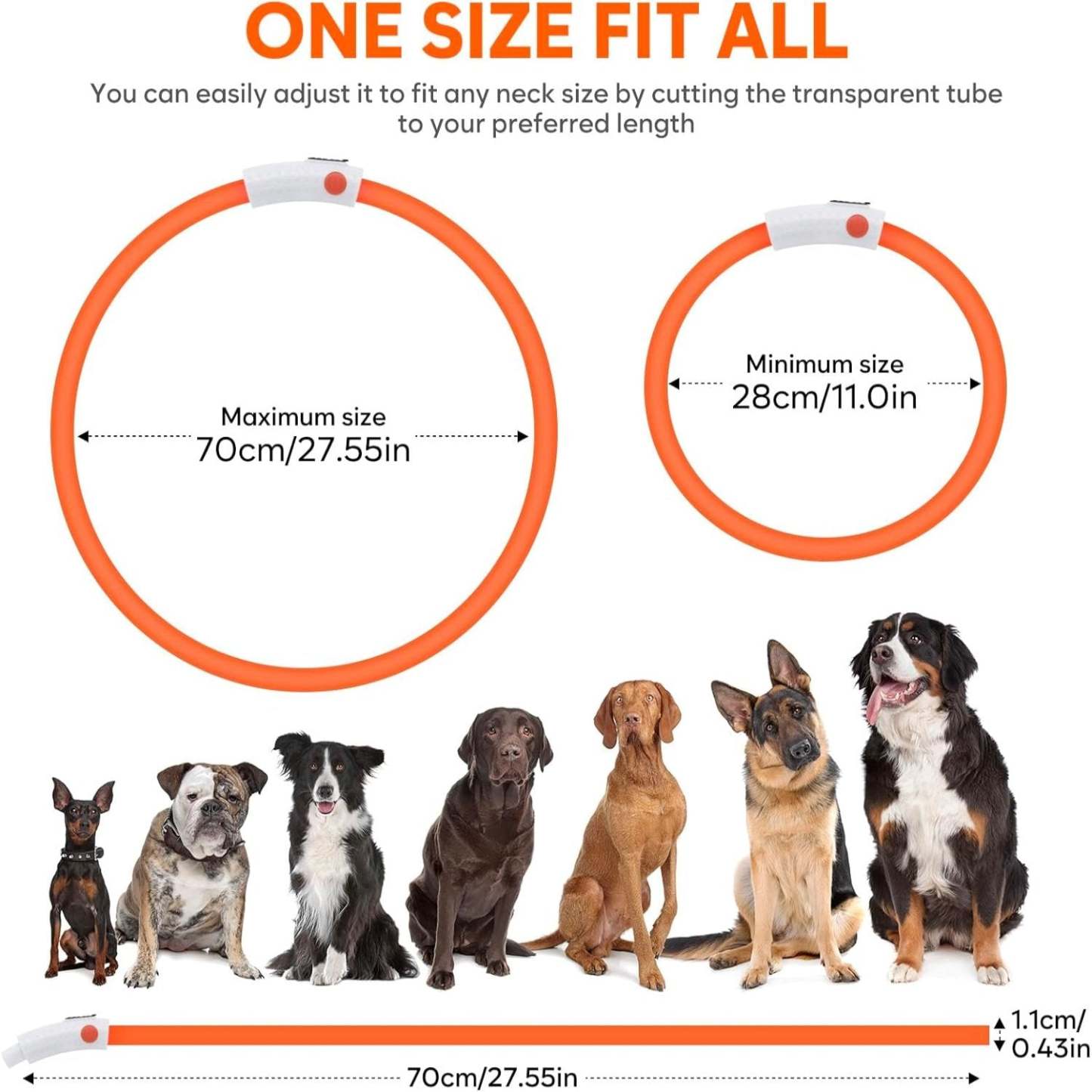 USB Rechargeable LED Safety Collar For Pets-Paw Print Pad