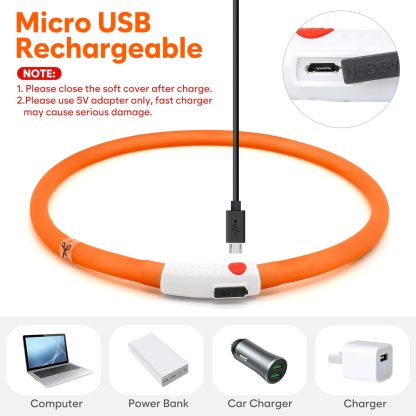 USB Rechargeable LED Safety Collar For Pets-Paw Print Pad