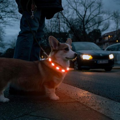 USB Rechargeable LED Safety Collar For Pets-Paw Print Pad