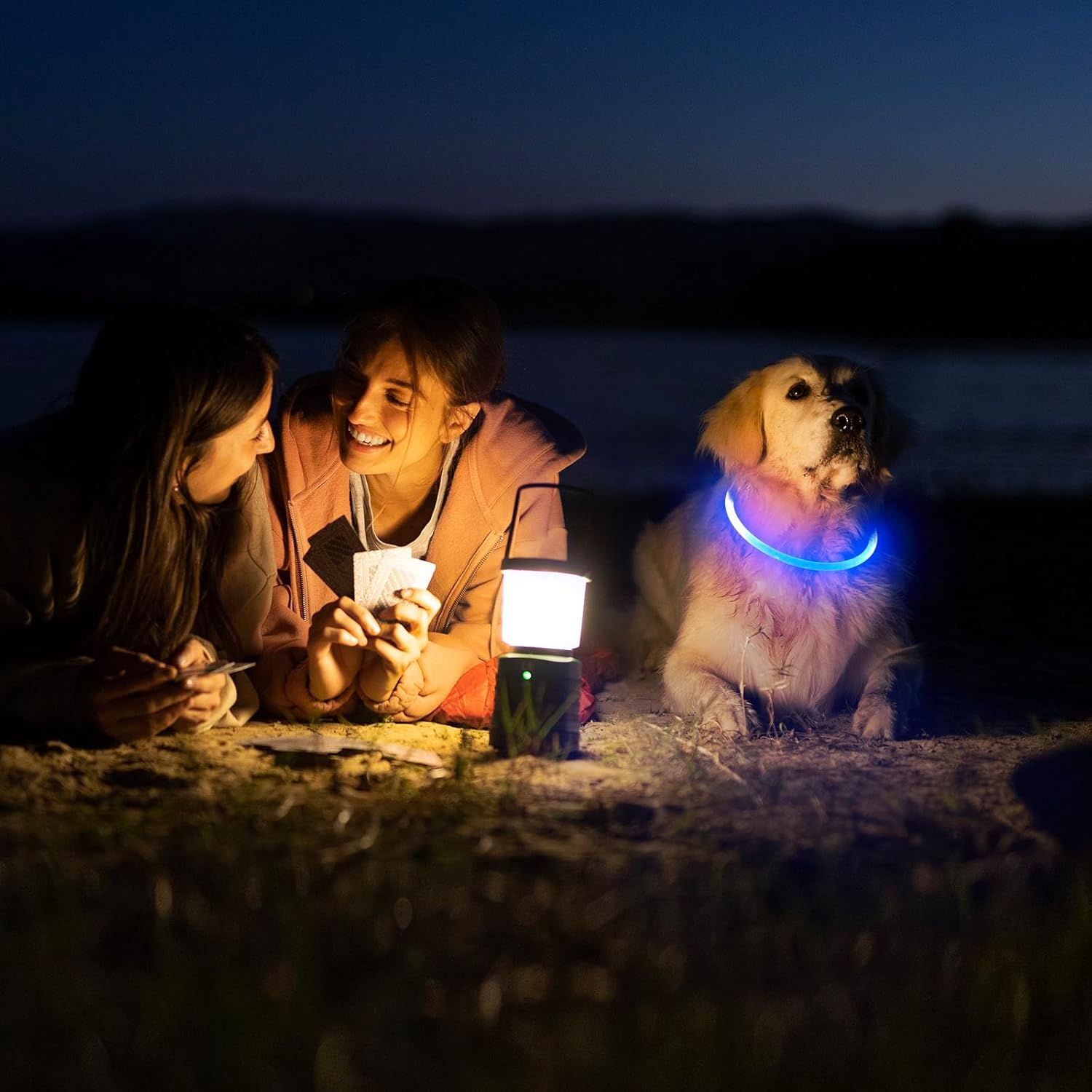 USB Rechargeable LED Safety Collar For Pets-Paw Print Pad