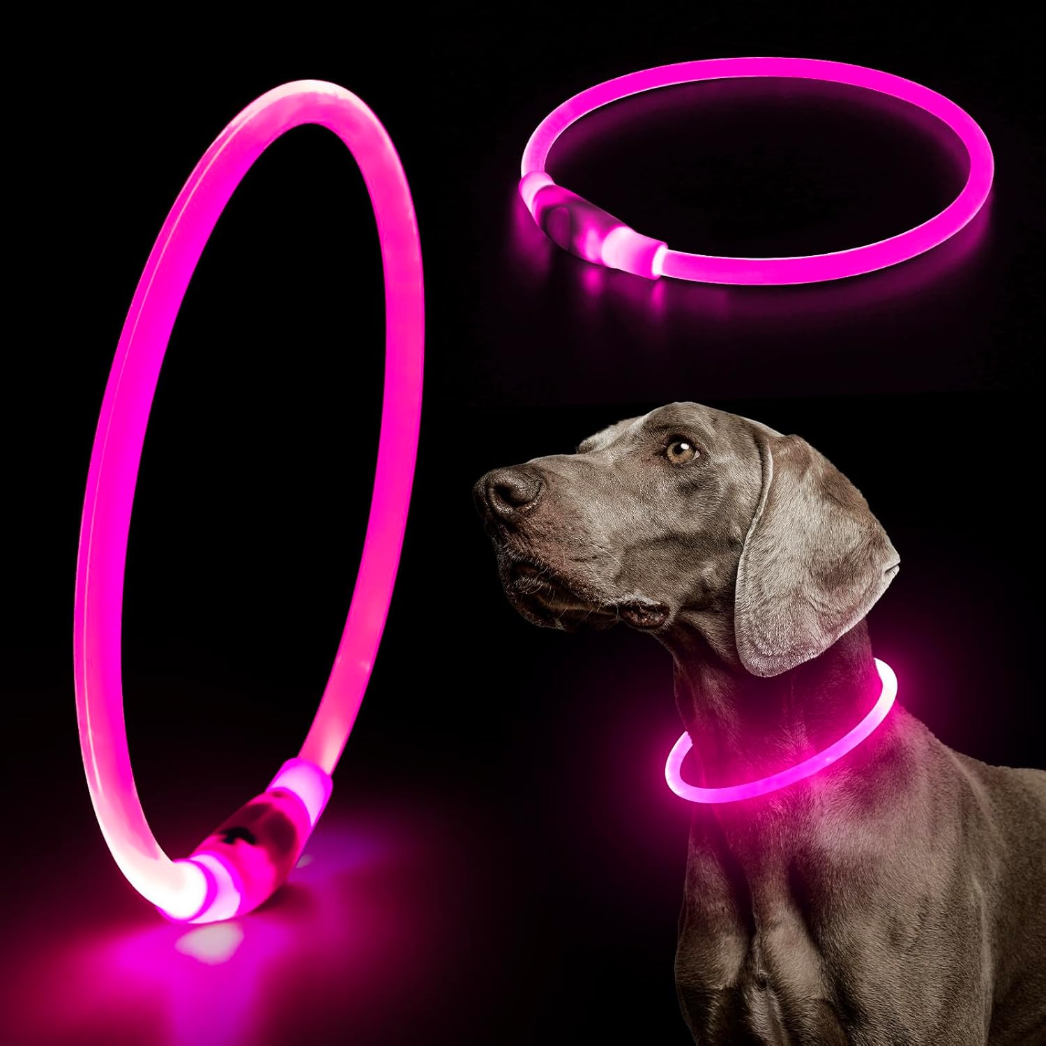 USB Rechargeable LED Safety Collar For Pets-Paw Print Pad