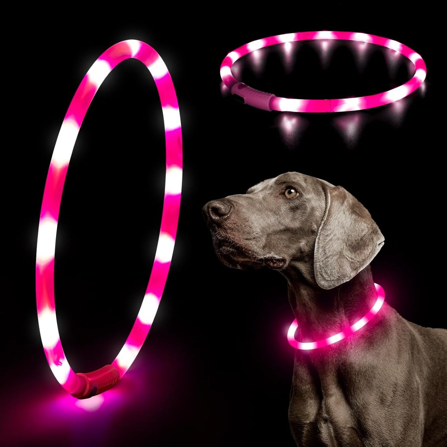 USB Rechargeable LED Safety Collar For Pets-Paw Print Pad