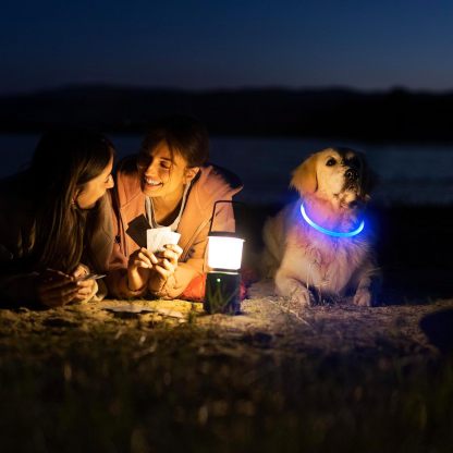 USB Rechargeable LED Safety Collar For Pets-Paw Print Pad