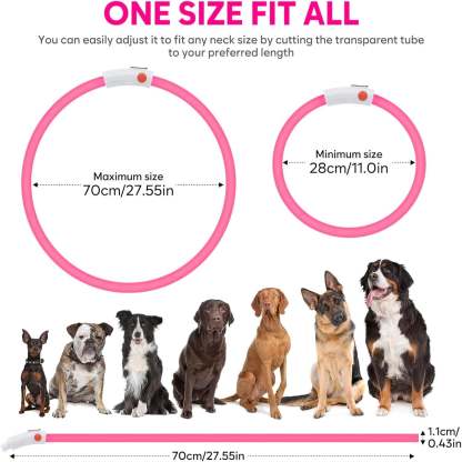 USB Rechargeable LED Safety Collar For Pets-Paw Print Pad