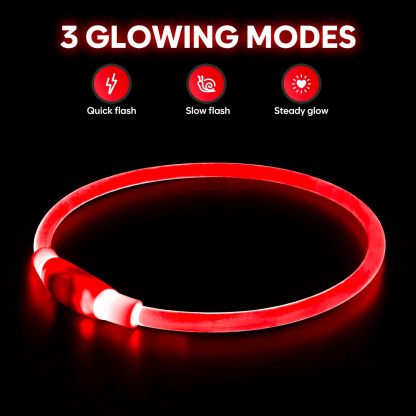 USB Rechargeable LED Safety Collar For Pets-Paw Print Pad