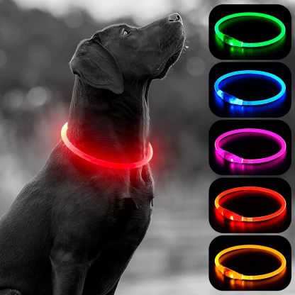 USB Rechargeable LED Safety Collar For Pets-Paw Print Pad